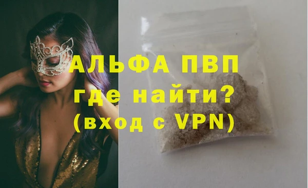 СК Бронницы