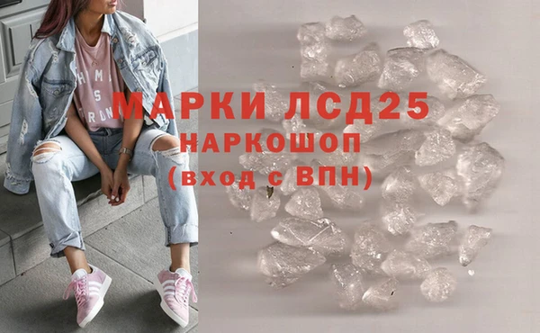 СК Бронницы