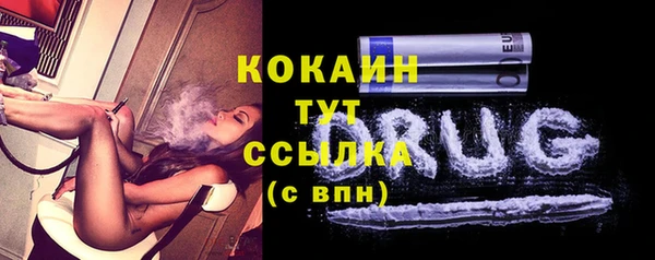 спиды Богданович