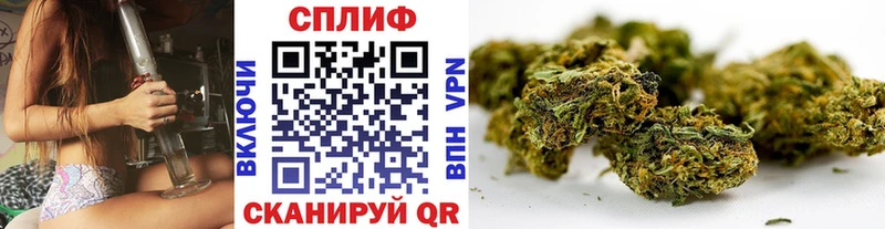 цены наркотик  Новоржев  Канабис Amnesia 